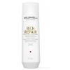 Goldwell Dualsenses Rich Repair Restoring Shampoo 250 ml