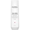 Goldwell Dualsenses Silver Shampoo 250 ml